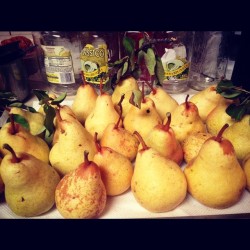 #moemeatproduction #pears #fresh #mendolife #tanoakpark #yummy