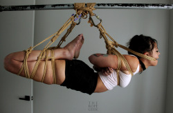 theropegeek: rope and photo by me; model:  @ropebaby