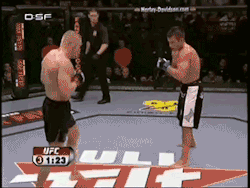 humancockfighting:  Dennis Siver fights Robert Whiteford on October