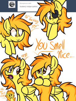 ask-spitfire-thewonderbolt:  Find the real Spitfire  x3!