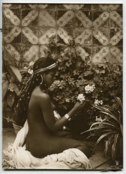  Lehnert et Landrock - Jeune fille aux fleurs, afrique du nord,