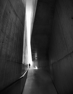 n-architektur:  Emptiness by Rui Palha 