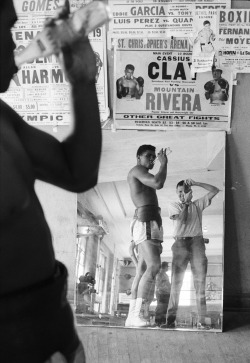 middleamerica:Self-Portrait with Muhammed Ali, 5th Street Gym,