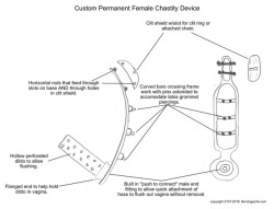 greyhoundsowner:  Many of you have asked what type of chastity