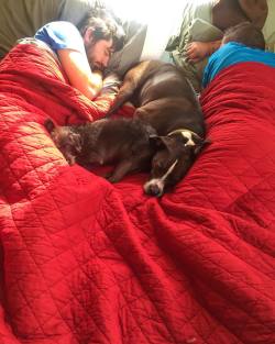 triforcepup:  Good morning Sunday