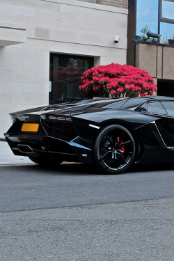 adornstudio:  Black Lamborghini Aventador | AS 