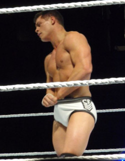 rwfan11:  Cody Rhodes …not sure what he is looking for, but