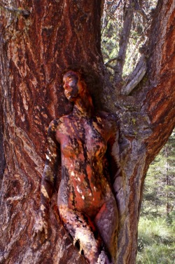 unusualnudephotos:  bodypaintart:  Trees By Johannes Stotter