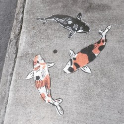 It super excites me to run into these #graffiti #stencil #koi