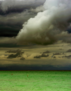 dontrblgme: DSC_2184 (via Gregory Veggia, DC)
