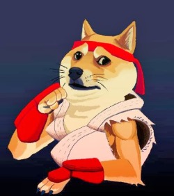 xombiedirge:  Street Fighters - Doge Vs. Grumpy Cat by Fran Puerto