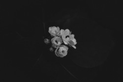 rememberless:  Photo by Xuan Nguyen on Unsplash  