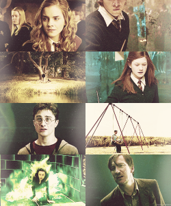 selinas:         HP movie caps meme [ϟ]:          ↳ Order