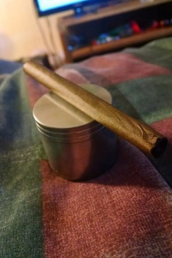 gostrictlyweed:  Blunt we had last week