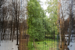 sixpenceee:  Erik Solheim took 3888 pictures of his yard to capture