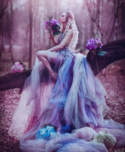 ilusion-fantasia:Fairytale •