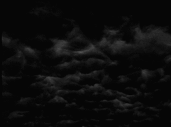nightmare-of-a-stranger:    