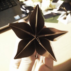 paperphiliac:  Carambola Flower designed by Carmen Sprung Only