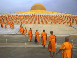 art-fran:  Buddhist monks going for prayer at the wat phra Dhammakaya