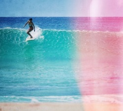 Paradise Surf