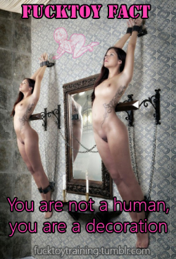 domesticcunt2:  fucktoytraining:  Fact: You are not a human,