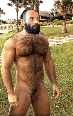nippig:  http://nippig.tumblr.com/archive  Hairy, handsome, sexy