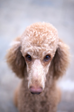 mystic-revelations:  #24 (Explored) (by Perry McKenna) 