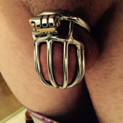 myslavelover:100 Followers!😍  Time to show you my new Chastity