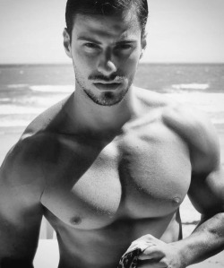 malebodyperfection:  Lucas Malvacini 