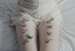 ildimoric:  roses | Flickr - Photo Sharing! itt: We Heart It.