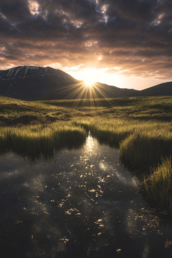 lsleofskye:Phoenix | Jonathan Giovannini