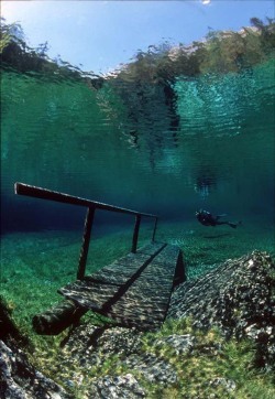 opticallyaroused:  Green lake in Austria ___________________