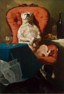 beyond-the-canvas:  Alfred Dedreux, Pug Dog in an Armchair, 1857. 