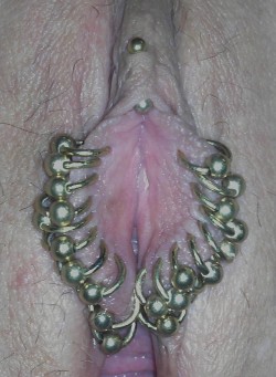 pussymodsgaloreA much pierced pussy, she has a VCH with a barbell,