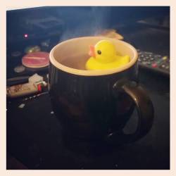 Cute little tea ducky