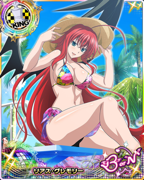 levantein:  Summer Hols is Here !!!And I share you all most beautiful girls of Highschool DxD.