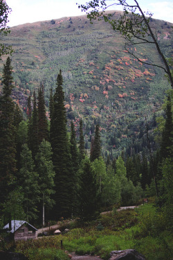 oh-haroo:  Follow me for more vertical nature and landscape!