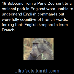 ultrafacts:  Source If you want more facts, follow Ultrafacts