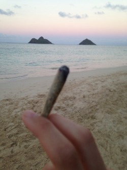 crystalbud:  crystalbud:  Sunset on the beach.  Wow, this got