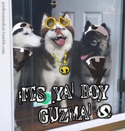 professionalcat-personal:  IT’S YA BOY GUZMA