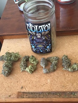 2 different dudes spelled out TOOL in weed….Lol