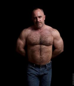 Bears, daddy, handsome older man, mature man