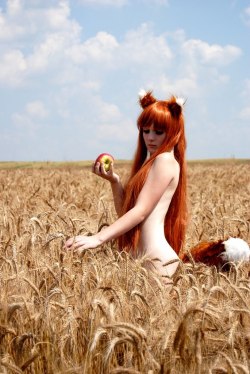 groteleur:  Spice and Wolf 