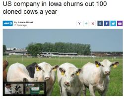 antinwo:  http://news.yahoo.com/us-company-iowa-churns-100-cloned-cows-054827926.html;_ylt=AwrBJR94HbBTlXwARA7QtDMD