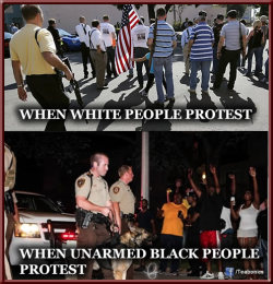 social-darwin-awards:  When white people protest:           