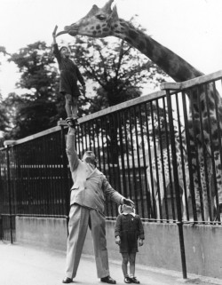 archiemcphee:  We love this awesome 1950s photograph of Paul