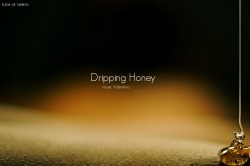 Dripping Honey // ValentinaOne of the most conceptual erotic