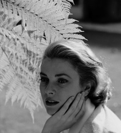 jeannecrains:  Grace Kelly photographed by Loomis Dean, February