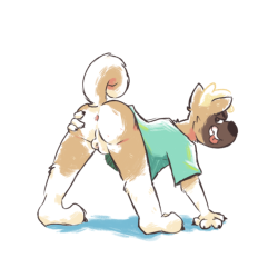 riversausage: Akita Butt Awyiss~