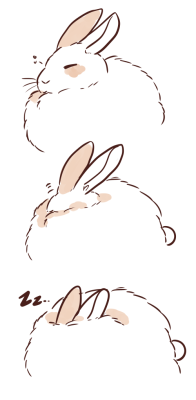 uncledante:  ponpekopon:  sleepy bunny *:｡(´ㅅ`    ) 